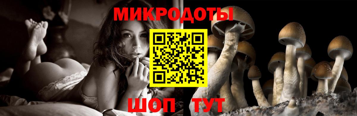 хочу наркоту  Вход с VPN  Волжск  Галлюциногенные грибы Cubensis 